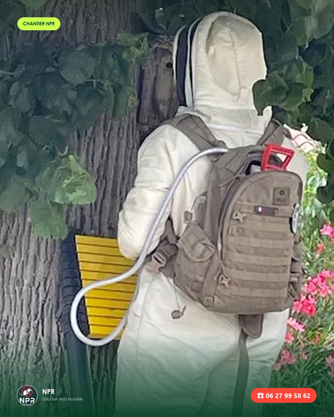 Chantier frelons et guêpes